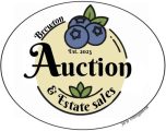 auctiologo2